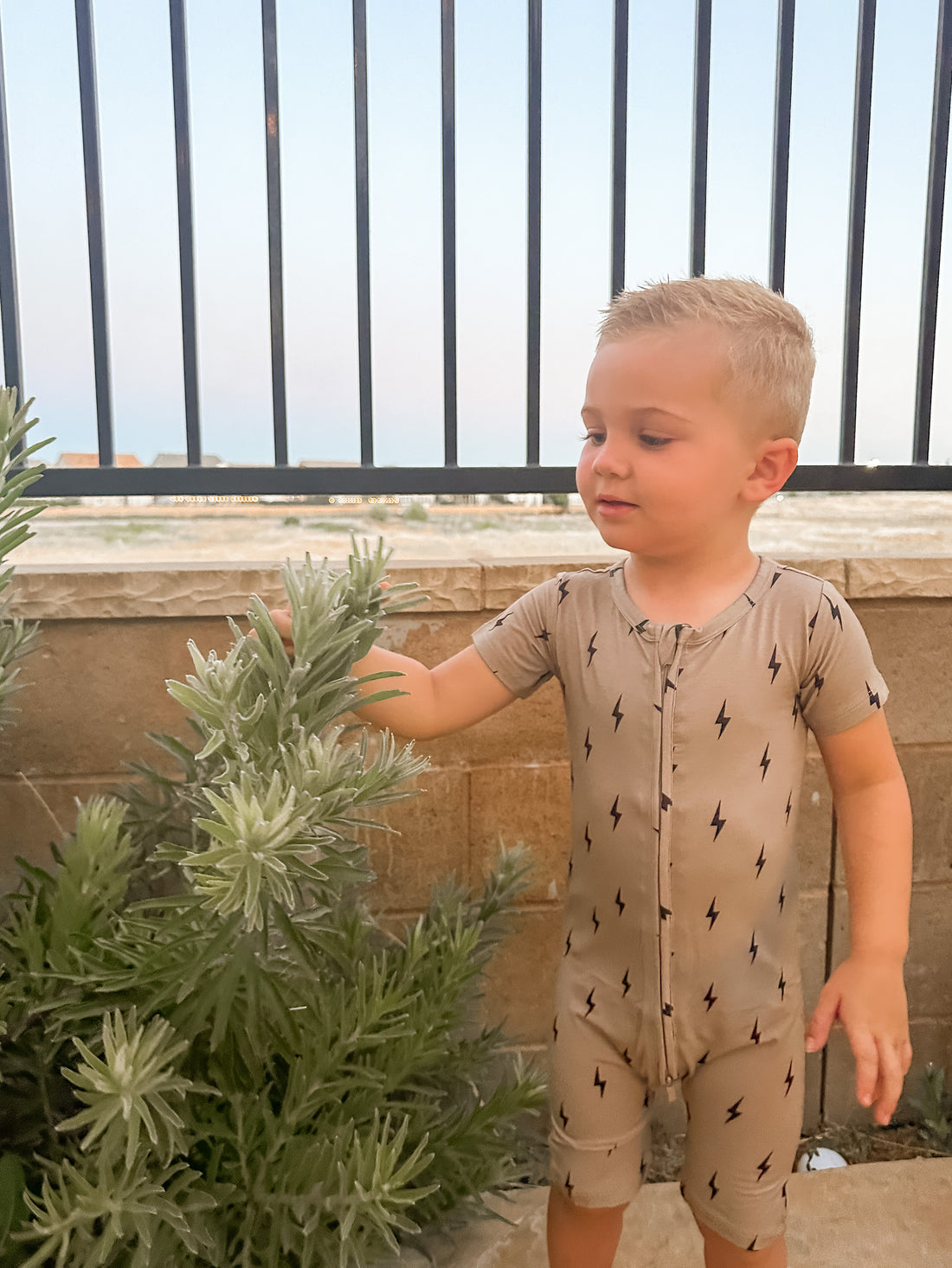 Introducing the Summer Drop of Willow+Co