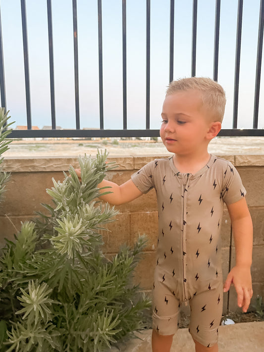 Introducing the Summer Drop of Willow+Co