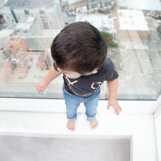 Raising a Toddler in a High-Rise